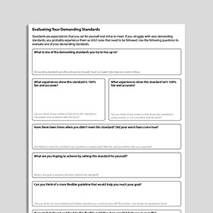 Evaluating Your Demanding Standards