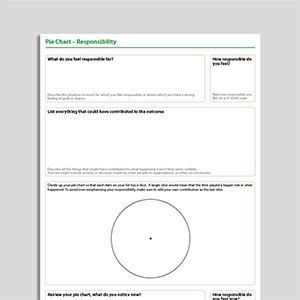 Pie Chart - Responsibility