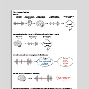What Causes Tinnitus?