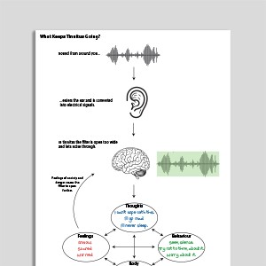 What Keeps Tinnitus Going