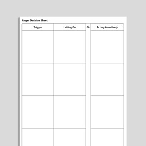 Anger Decision Sheet