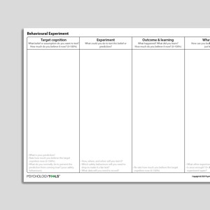 Behavioral Experiment