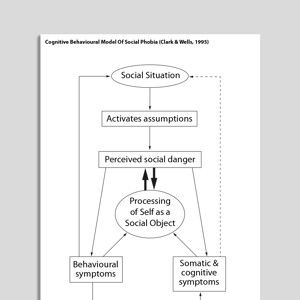 Cognitive Behavioral Model Of Social Phobia (Clark, Wells, 1995)