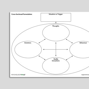 Cross Sectional Formulation