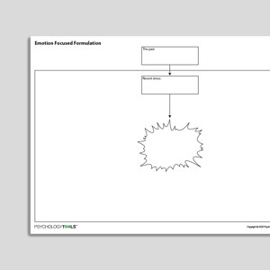 Emotion Focused Formulation