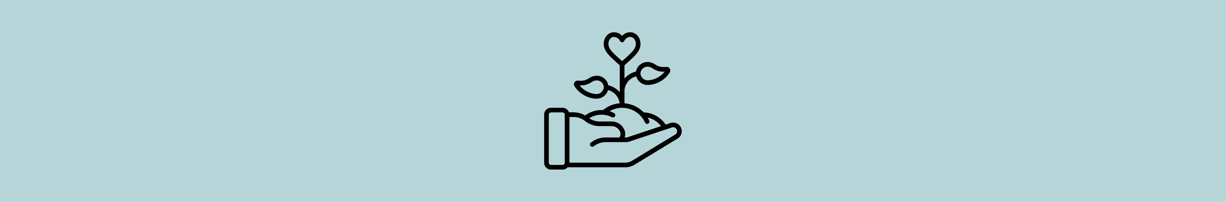 Plant Growing In Hand Banner Image